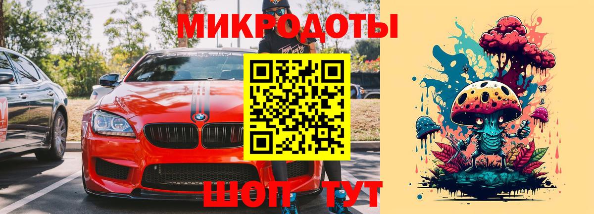 Псилоцибиновые грибы Psilocybine cubensis Мурманск