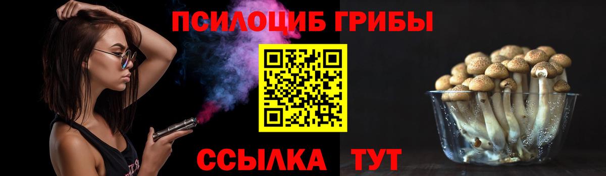Мурманск  Псилоцибиновые грибы Magic Shrooms  Галлюциногенные грибы мухоморы  Вход с VPN 
